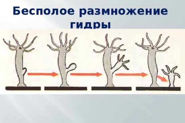 Кракен сайт вход официальный зеркало