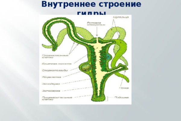 Кракен сайт официальный ссылка kraken clear com