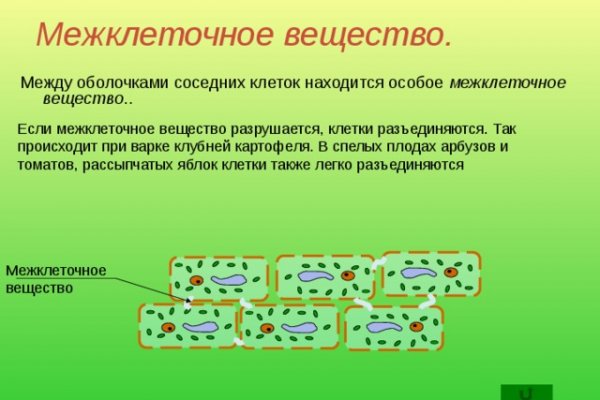 Через какой браузер заходить на кракен