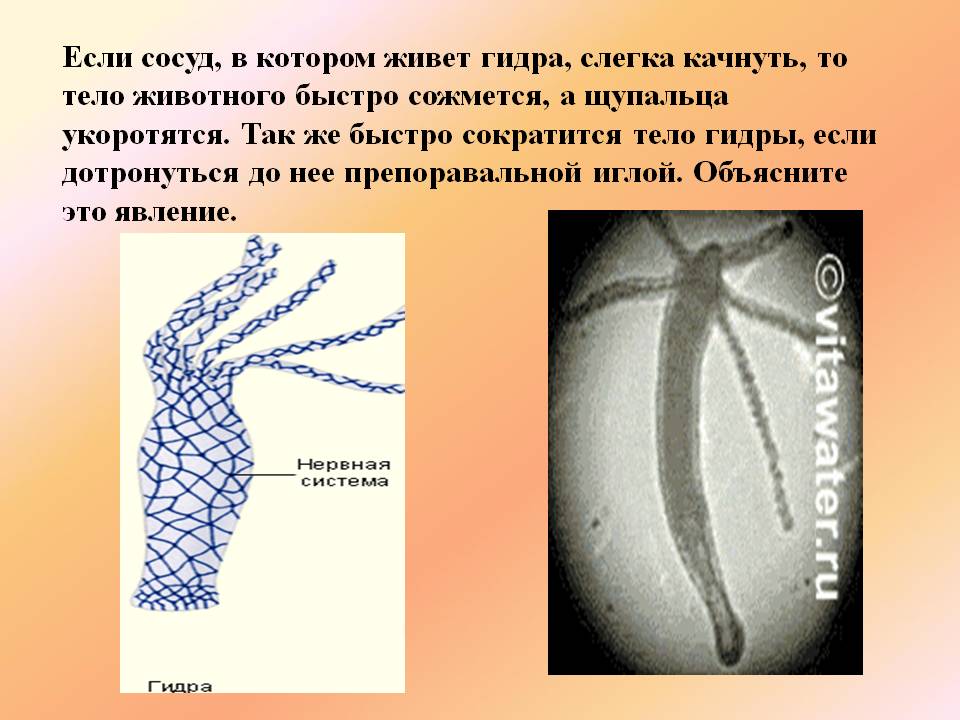 Кракен черный сайт